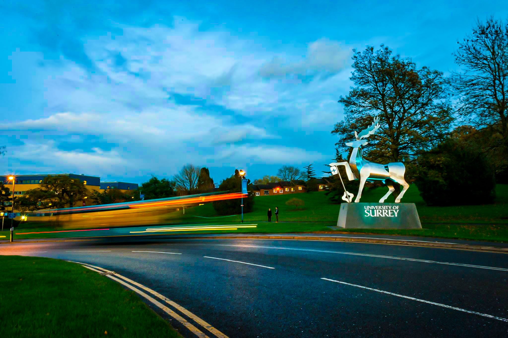University Of Surrey
